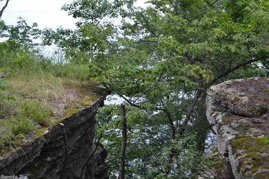 0 Wisdom Pointe Ln unit 15007288, Heber Springs, AR 72543 - photo 2