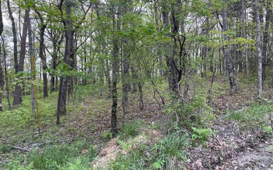 Additional View