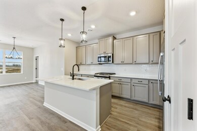 15749 Goodview Ave N, Hugo, MN 55038 - photo 5