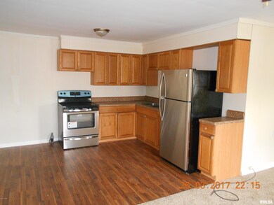 121 Midkiff St, Harrisburg, IL 62946 - photo 3