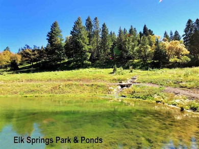 50 Elk Springs unit Lt 26 Elk Springs, Cloudcroft, NM 88317 - photo 7