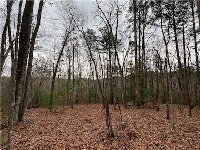 View of local wilderness with a forest view