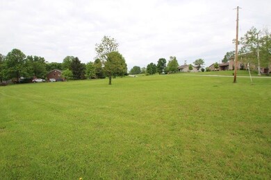 20 Briarwood Way, Lawrenceburg, KY 40342 - photo 4