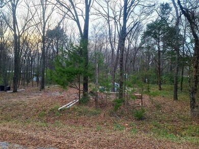 TBD Mapuana Ln Bluebird Ln, Sadler, TX 76264 - photo 2