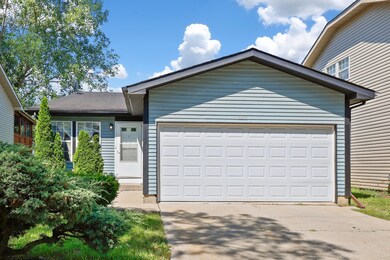 18206 Idlewild Dr, Country Club Hills, IL 60478 - photo 2