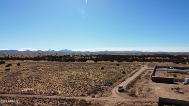dji_fly_20250124_113524_823_173774379248