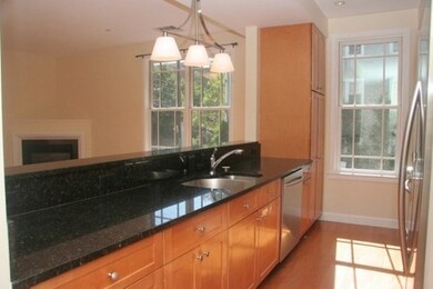 195 High St unit 101, Brookline, MA 02445 - photo 4