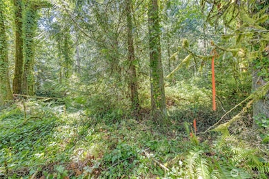 0 Ave N, Bainbridge Island, WA 98110 - photo 7