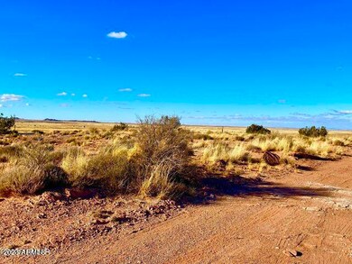 8212 Holly Trail unit 9, Snowflake, AZ 85937 - photo 5
