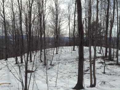 unlisted-address, Dalton, MA 01226 - photo 5