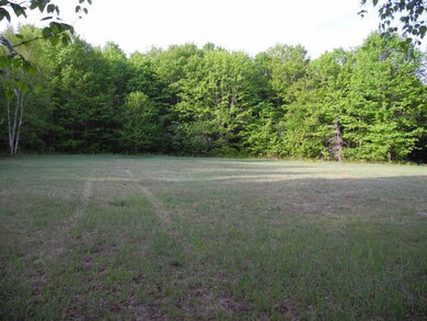 Woods