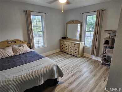 208 E Throp St, Troy, IL 62294 - photo 7