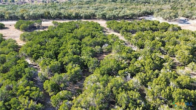 1914 (Lot 9) Woodford Ct, Salado, TX 76571 - photo 6