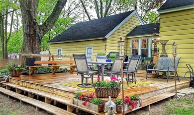 Back Yard 8