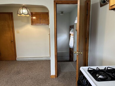 205 N 3rd St, Ishpeming, MI 49849 - photo 4