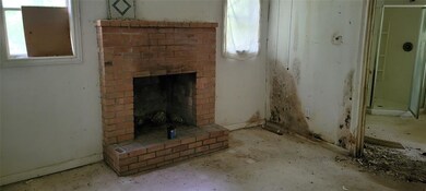 44 Jay Ln, Sadler, TX 76264 - photo 5