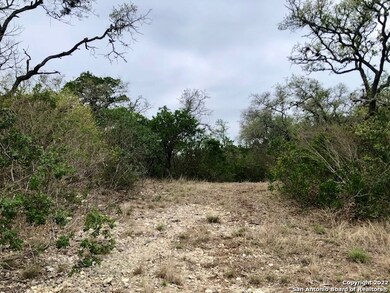 0 County Road 243 unit 1619014, Hondo, TX 78861 - photo 5
