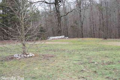 134 Magic Pine Ln, Mena, AR 71953 - photo 5