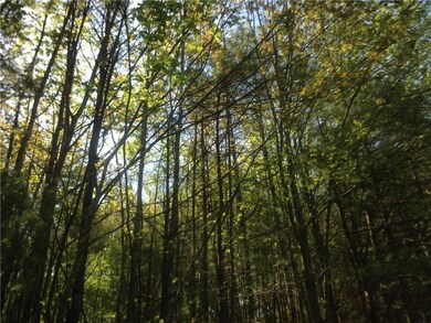 You can almost hear the bird's...