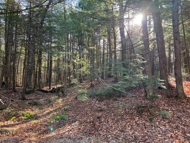 Lot 7 Hermit Woods Rd, Sanbornton, NH 03269 - photo 4