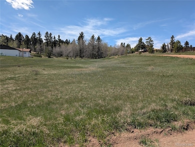 Lot81 + 82 Fountain Dale Ln, Divide, CO 80814 - photo 2
