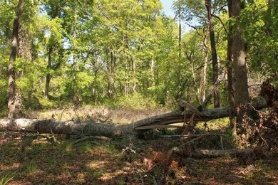 212 Sam Smith Cir, Crawfordville, FL 32327 - photo 3