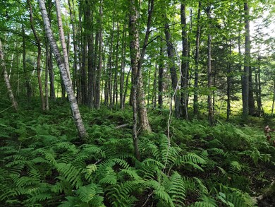 ON East Ln, Crandon, WI 54520 - photo 6