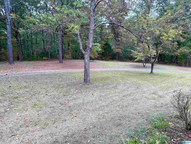 1512 Rainbow Ln, Warrior, AL 35180 - photo 5