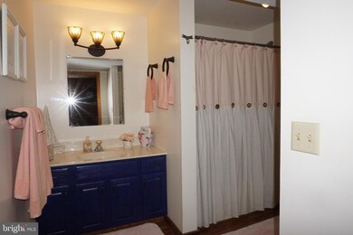 2436 Duckwall Rd, Berkeley Springs, WV 25411 - photo 5