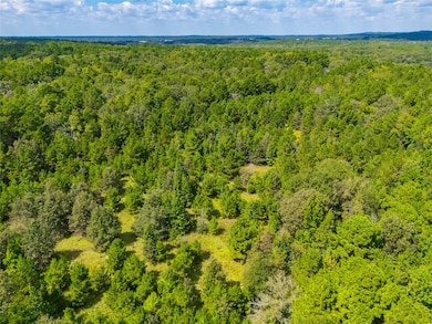 14799 Farm To Market 315, Palestine, TX 75803 - photo 6