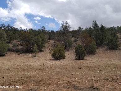 8 Juniperwood Ranch, Ash Fork, AZ 86320 - photo 6