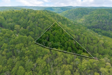 0 Red Bud Ln, Hilham, TN 38568 - photo 6