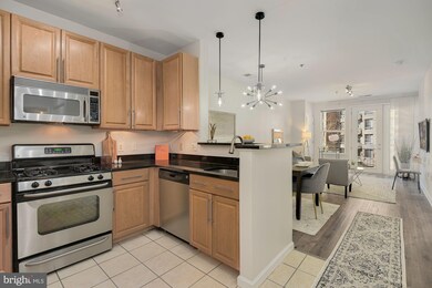 Silverton Condominiums, Silver Spring, MD 20910 - photo 3