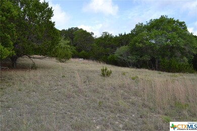 4.591 Acres Fushia Rd, Copperas Cove, TX 76522 - photo 4