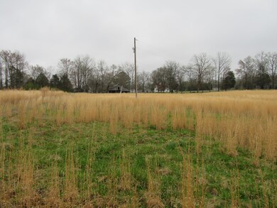 152 Horseshoe Bend Rd, Linden, TN 37096 - photo 4