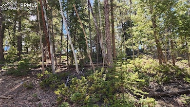 178 Gerka Ln, Florissant, CO 80816 - photo 7