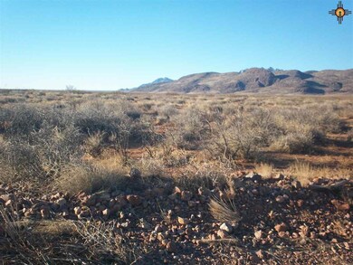 x Iron Wood Rd SE, Deming, NM 88030 - photo 2