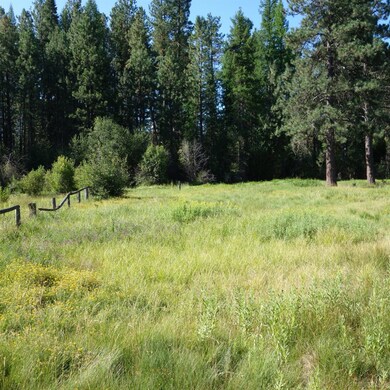 Tamarack2