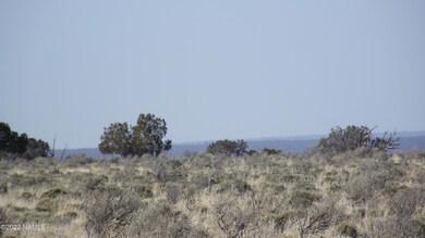 DSCF6157