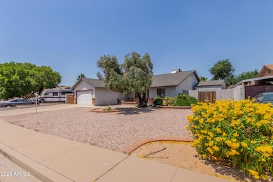 05 - Ivyglen 6110