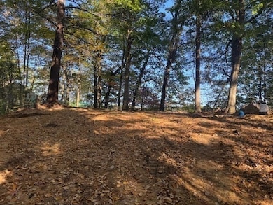 1 Lane 22, Brookfield, MA 01506 - photo 4