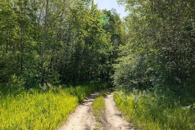 00 V/L Comstock Ave unit Par B, Bitely, MI 49309 - photo 6