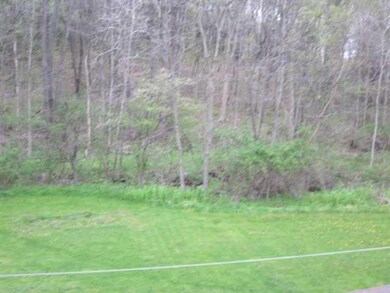 Land/Lot. Back Yard