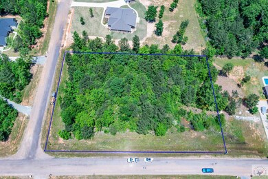 0 Daniel Lee Ln, Texarkana, TX 75501 - photo 2