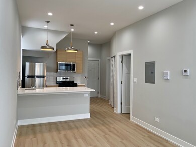 2238 W 24th St unit 2F, Chicago, IL 60608 - photo 3