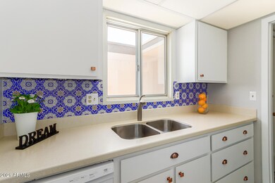 Drefs 98th kitchen sink 2