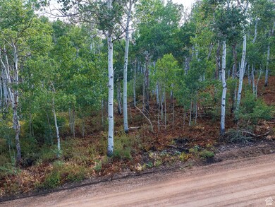 View of dirt / gravel road