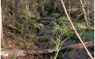Additional View