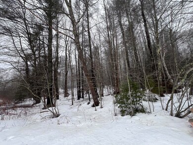 Wooded Lot