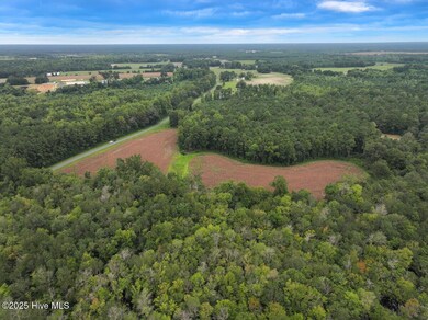 0 Stocking Head Rd, Greenevers, NC 28458 - photo 3